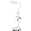 Zyj 16X LED lampada lente ingrandimento da terra, regolabile Angolo del tubo tubo flessibile con 5 ruote girevoli - per Manicure, Lettura, Gioielli, Bambini, Elettronica, Professionale, Alluminio, Bianco