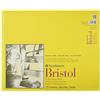 Strathmore Bristol - Carta Liscia Pad 342-14-14 X 17