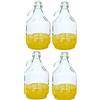 Firmadigaranzia srl 4 Dame Fermentatore Fiasco in Vetro Palloncini da 5 l con Chiusura a Gancio e Cestino in plastica - Damigiana 5 L con Tappo ermetico a Leva