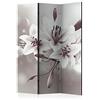 murando - Paravento Decorativo Monofacciale Fiori 135x172 cm 3 Pannelli Divisori - Stampa su un Lato su Tela in TNT - Separe Divisorio per la Casa Simpatici Legno - Colorato b-C-0040-z-b