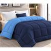 Tata Home Trapunta Invernale Tinta Unita Double Face Matrimoniale Imbottita 350 gr/mq Piumone Caldo Letto 2 Piazze 260x260 cm Bicolore Avio Blu Mod. J