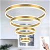 LAMPLAY Lampada A Sospensione Moderna A LED Rotonda, 4 Lampadario Ad Anello D'oro, Dimmerabile Con Telecomando 3000K-6000K Lampada Da Soffitto, Altezza Regolabile, Camera Da Letto(Ø20+40+60+80cm)