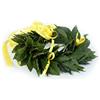 coronedilaurea.com Corona di alloro fresca Royal fatta a mano in Italia | Corona lauream con foglie naturali e fiocchetti in raso | Tradizionale corona d'alloro per cerimonia laurea e festeggiamenti ! Royal gialla