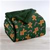 IlGruppone Coperta Plaid in Pile Sherpa Invernale, Morbida e Calda, Coperta Pelosa Copri Letto o Divano in Finta Pelliccia Singola Matrimoniale Doppio Lato - GingerVerde - Plaid 130x160