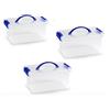 PlasticForte Box Scatola Contenitore con coperchio in plastica vari misure Mini Scatola con coperchio e clips (3 pz. Trasparente 29x19x13cm)