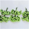 C.X.Y. 144 bacche (Set 12 Fiori da 12 pistilli bacche) bomboniera confezione scatola fiore fai da te (VERDE LIME)