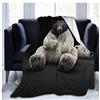 Chickwin Chickw11 Coperta di Flanella, 3D Animale Stampa Morbida Leggera Pile Coperte Calda Coperta Tutte Le Stagioni Multifunzionale per Divano o Letto Singolo e Matrimoniale (Orso Polare,120x150cm)