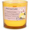 seit 1744 müller KERZEN Müller Kerzen PRO NATURE Candele Profumate in Vetro Giallo con Stoppino in Legno - Cera Bianca e Oli di Colza Naturali allo Zenzero & Fiore di limone - Durata Fino a 40 Ore