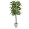 MAIA SHOP Ficus artificiale 180 cm, pianta finta grande da interno con tronco naturale, albero decorativo realistico per casa ufficio hotel