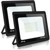 Blivrig 2PCS 30W Faro LED da Esterno, Faretto LED Bianco Freddo 6500K, 3000LM Faretto LED Parete, IP66 Impermeabile Luce di Sicurezza per Casa Cortile Giardino Palestra Garage