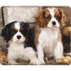 BeNtli Tappetino per mouse, Cavalier King Charles Spaniel Small Puppies, Tappetino per mouse con base in gomma antiscivolo, Tappetino per mouse impermeabile 12 × 10 pollici Ufficio