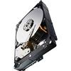 Seagate 'st3000nm0023 - Hard disk interno Seagate da 3 TB, 7200 rpm, 3.5 SAS)