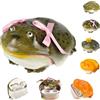 Generic Handmade Unique Frog Design Wireless Earphone Protective Cases,Ugly Frog Anti-Scratch Wireless Earphone Protector,Weird Toad Creative Animals Earbuds Covers for Airpods 4/Pro 3 (Bow, for 4)