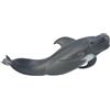 Collecta Pilot Whale By Collecta