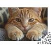TISDOKKEL Orange Tabby Cat 1000 pezzi Puzzle Primo piano gatto rosso per adulti, cartone spesso, antistress, gioco difficile, regalo anniversario 38x26cm/1000pcs