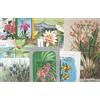 Prophila Collection Motivazioni 25 Diversi Fiori Blocchi (Francobolli per i Collezionisti) Piante/Funghi