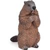 Papo - Statuetta Marmotta Realistica - 3 Anni + - Collezione La Vita Selvaggia - Gioco Educativo Fauna di Montagna - Idea Regalo Giocattolo Bambina Bambino