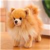 KUKUShining Soft Pomeranian Cane Peluche, 23CM Carino Cucciolo di Peluche Perfetto Regalo per Bambini Ideale per il Gioco Confortevole e la Decorazione della Camera da Letto(BrownBomei)