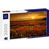 Lais Puzzle Campo di Papaveri al Tramonto 2000 Pezzi