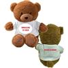 PELUSCIAMO Orsetto In Peluche Personalizzabile Con Frasi o Immagini | Altezza 18 cm | Mascotte Personalizzata Teddy Bear | 1 Personalizzazione Compresa PS 33790