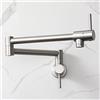 HAIYUNDA Hyundai Cucina Pot Filler Rubinetti Montaggio A Parete Commerciale Doppio Giunto Altalena Braccio Lavello Allungabile con Foro Singolo Due Maniglie (Nickel