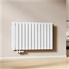 EMKE Radiatore Piatto, 63x100cm, Radiatore Acqua Calda, Radiatore a Pannello Radiatore Design Orizzontale, Doppio strato, Bianco