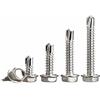 Dreneco Viti Autoperforanti a Testa Esagonale in Acciaio Inox, Viti Autofilettanti per Metallo, M4.8×16mm,20 pcs