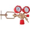 TC TECHNIC Riduttore di pressione acetilene: regolatore gas con manometro, corpo in ottone, pressione di ingresso nominale 0-25 bar, portata 5000 l/h
