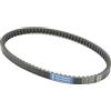 Athena S410000350007 Cinghia di Trasmissione