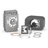 AER MOTO SPARE PARTS GRUPPO TERMICO CILINDRO Ø 46,5 IN GHISA MALOSSI CON SPINOTTO Ø 10 PER PIAGGIO BRAVO BOXER BOSS GRILLO SI SUPERBRAVO 50