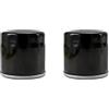 DGOINGPI Filtro olio per motociclette Adatto per filtro olio per moto Voge Ds525x 525r 525acx Filtro olio per moto adatto(Filter two)