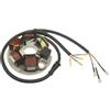 Generico CifRicambi Statore Compatibile Con VESPA 125 ET3 1976-1983 9166-E1