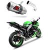 DOMINATOR ZX10R Marmitta Racing GP Exhaust Terminale di Scarico Silenziatore 2008 2009 2010