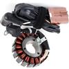OTOZUM Bobina statore Compatibile con Piaggio per Beverly per Cruiser 250 E3 2007 2008 2009 per Mp3 125 2008 2009 per Bv250 2007 2008 Bobina Statore Moto