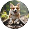 peiyeety Copriruota di scorta universale, protezioni per ruote resistenti alle intemperie, copriruota a forma di cane Corgi che corre sul treno, protezione solare per roulotte, camper, SUV, camion, accessori