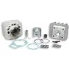 Malossi 318463 GRUPPO TERMICO MALOSSI MHR 70CC D.47 PIAGGIO AC ARIA SP.12 ALLUMINIO