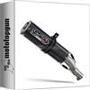 MOTOTOPGUN scarico gpr omologato carbon look m3, db-killer incluso, h.253.2.m3.pp compatibile con honda nx500 2024 2025 mototopgun