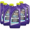 W-Parts Kit Olio Motore Compatibile con Royal Purple High Performance Street HPS - Racing Motor Oil - 100% Sintetico - Olio motore Stradale ad Alte Prestazioni - Latte da 0,946 ml (10W-40, 5 Latte)