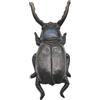 Generico Boot Jack Beetles Garden, Cast Iron Cowboy Boot Jack, 22.1x9.7x4.9cm/8.7x3.82x1.93 Inches Shoe Remover for Work, Riding, Taking Off Boots for Men, Women Iron