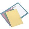 Cartotecnica del Garda CART. GARDA 100 cartelline semplici azzurro s/stampa 145gr