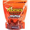 Reese's Tazze di burro di arachidi di Reese's Mini, sacchetto ricamabile 226gr. - STATI UNITI D'AMERICA