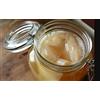 Scoby Kombucha Scoby 1 x biologico - Cultura viva di Scoby Kombucha