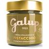 Galup Crema Spalmabile al Pistacchio 200g - con 41% Pistacchi Siciliani - Crema Gourmet Densa e Vellutata