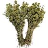 SpiceMasters.co.uk Origano di Montagna Grappolo Essiccato Greco 220 grammi - 1,95 Chili Qualità Premium Origanum Vulgare (950 grammi)