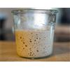 Kombuchaorganic lievito madre naturale genuino, Lake District da 38 anni, lievito di birra biologico, lievito per pane di segale, farina integrale, biga liquida, 80g