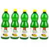 DUE ESSE S.N.C. DI SABATINI ALDO & C. PZ 5 BOTTIGLIE DA 1 LT CADA UNA SUCCO DI LIMONE A BASE DI SUCCO CONCENTRATO LEMON JUICE IN BOTTIGLIA