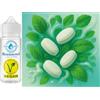 Sasami Northern Chill spearmint aroma concentrato - vegano - Sasami - 10ml