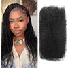 Huarisi Black Afro Kinkys Bulk Human Hair for Dreadlocks HQ Mini Twist Braids Permanent Sister Locs and Loc Repair 1b 1 Pack 50g 22Inch 4B 4C Soft Afro Kinky Bulk Hair Extensions