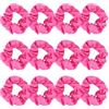 Jaciya Confezione da 12 elastici per capelli in raso, rosa acceso, elastici per capelli, elastici per coda di cavallo, accessori per capelli per donne e ragazze