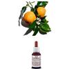 Il Regno Vegetale Olio Essenziale 100% Puro ARANCIO AMARO Origine Sicilia 10 ml Naturale Uso Interno/Esterno
